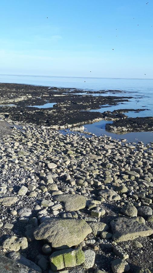 Combe Haven Harley Mead Villa Hastings Dış mekan fotoğraf